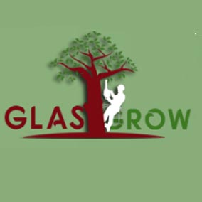 Adbeyo Webdesign Review from Glasgrow Tree Surgeons